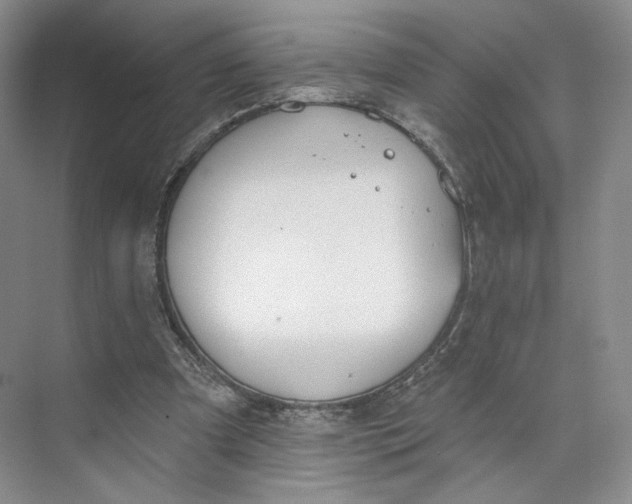 X0000073950297200609111657