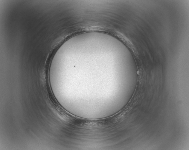 X0000073950298200609111657