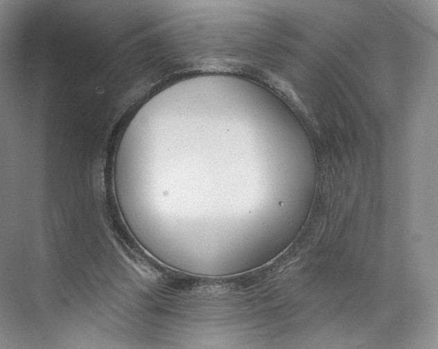 X0000073950299200609111657