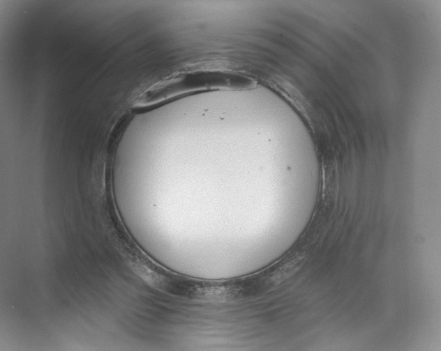 X0000073950301200609111657