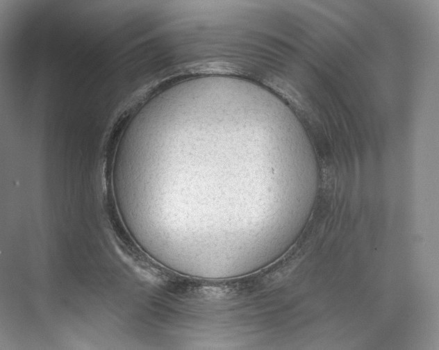 X0000073950302200609111657