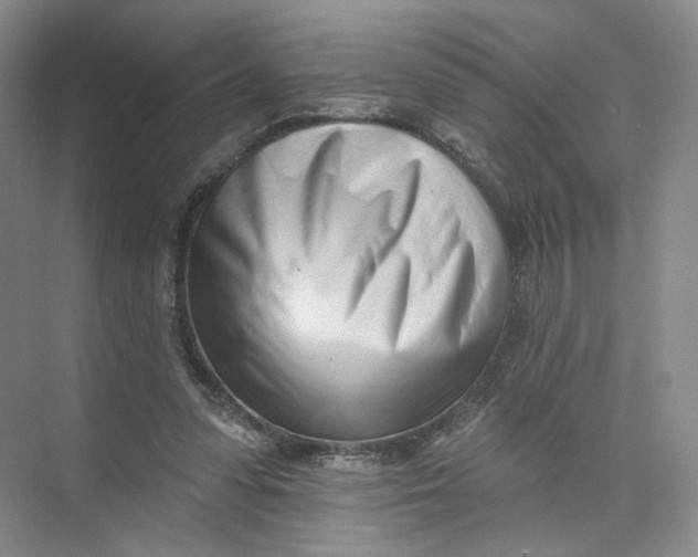 X0000073950303200609111657