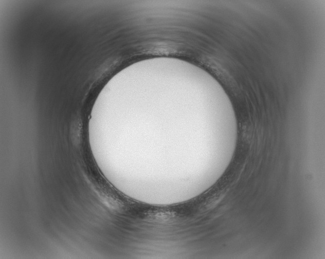 X0000073950304200609111657