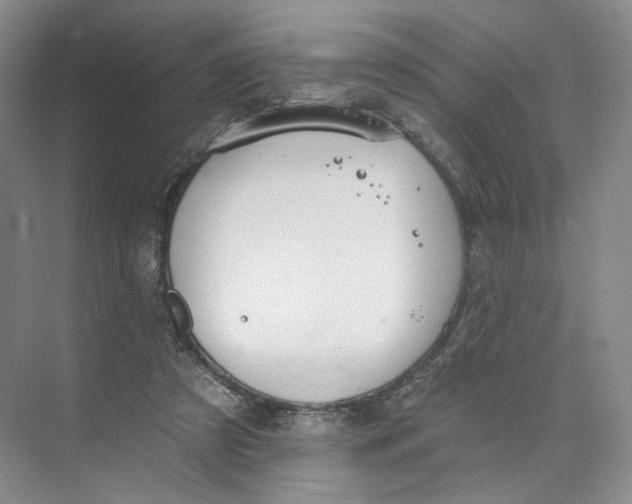 X0000073950305200609111657