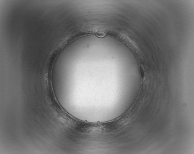 X0000073950306200609111657