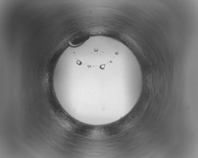 X0000073950308200609111657