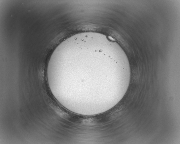 X0000073950309200609111657