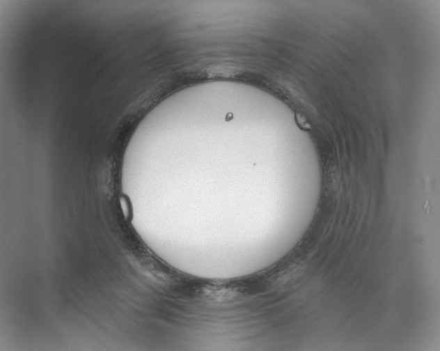 X0000073950311200609111657