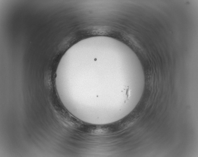 X0000073950312200609111657