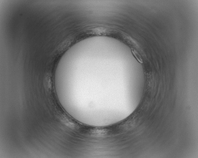 X0000073950313200609111657