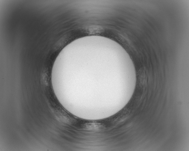 X0000073950316200609111657