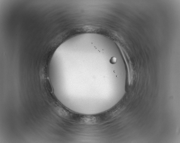 X0000073950317200609111657