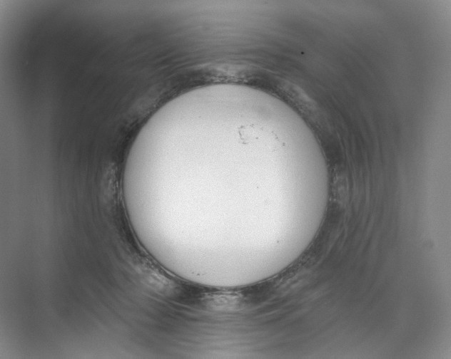 X0000073950318200609111657