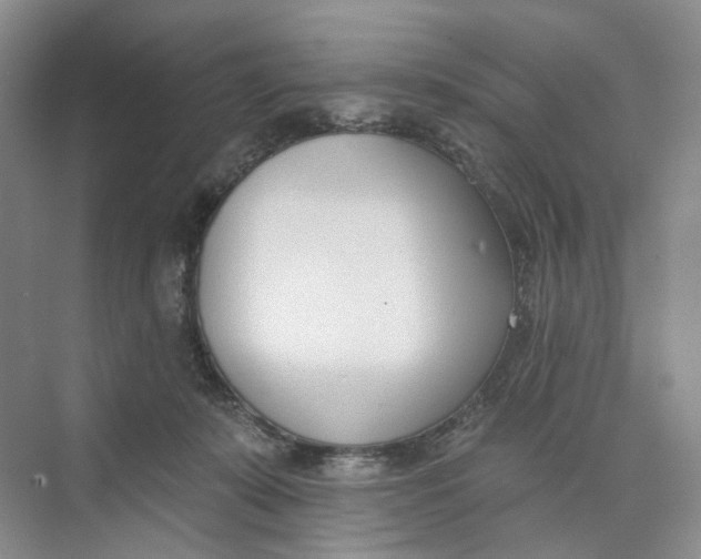 X0000073950319200609111657