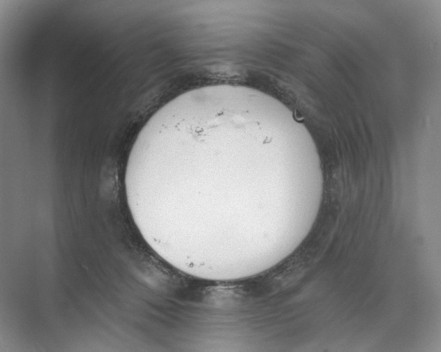 X0000073950320200609111657