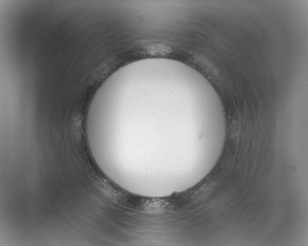 X0000073950321200609111657