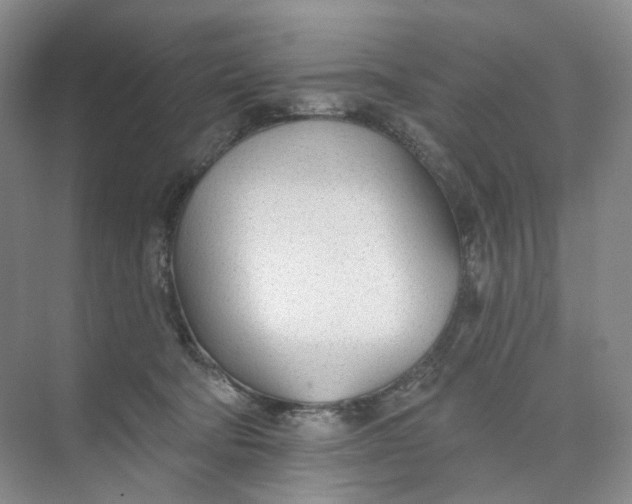 X0000073950322200609111657