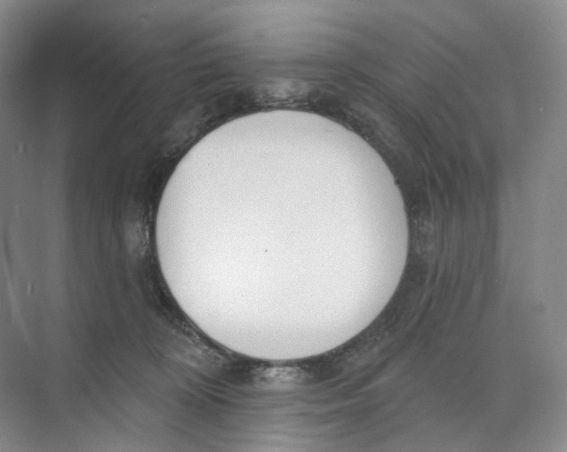 X0000073950324200609111657