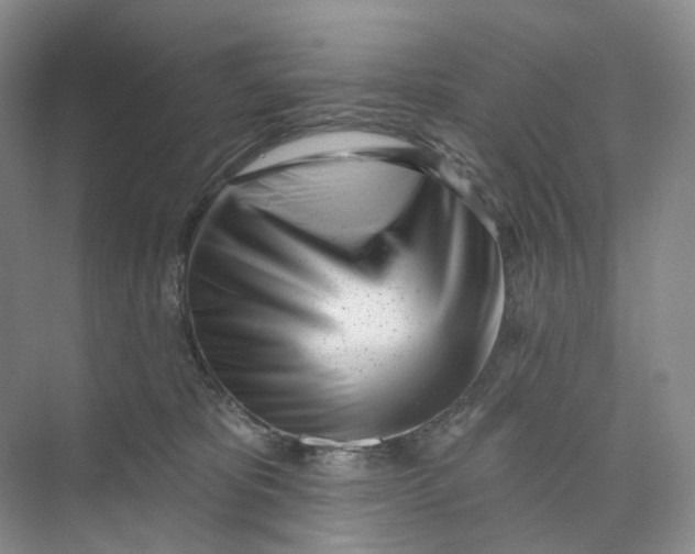 X0000073950325200609111657