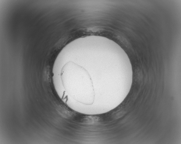 X0000073950328200609111657