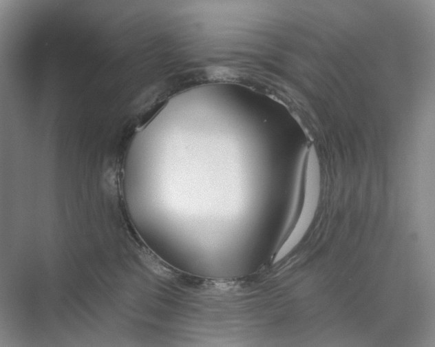 X0000073950329200609111657