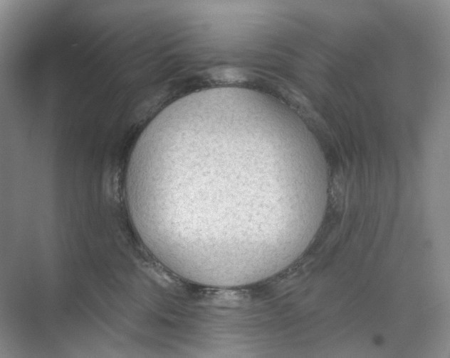 X0000073950330200609111656