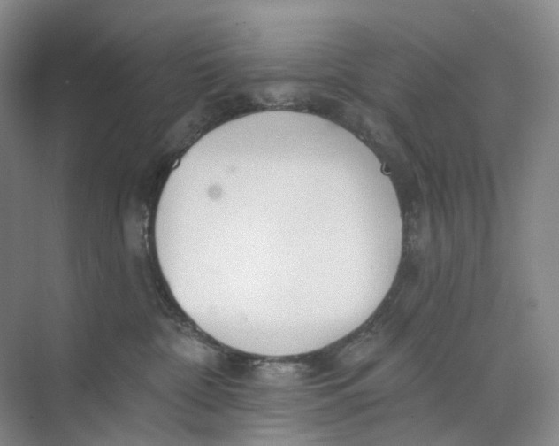 X0000073950332200609111656