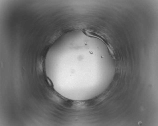 X0000073950334200609111656