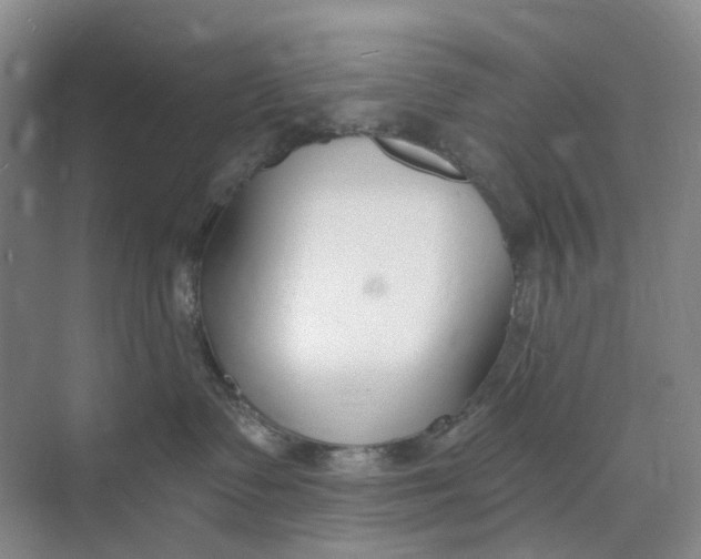 X0000073950335200609111656