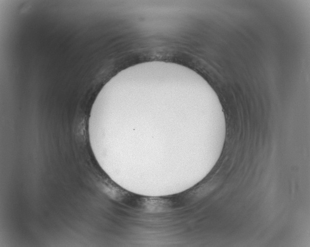 X0000073950336200609111656