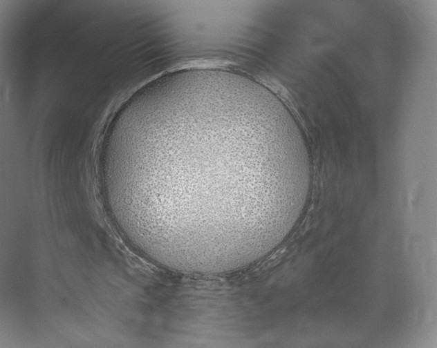 X0000073950337200609111656