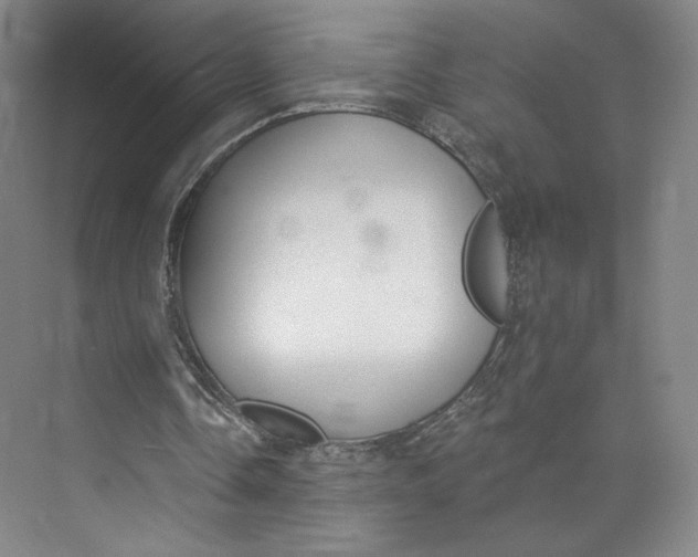 X0000073950338200609111656