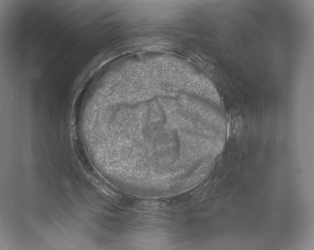 X0000073950339200609111656