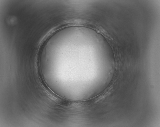 X0000073950341200609111656