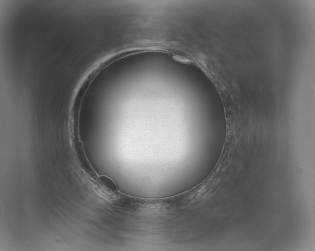 X0000073950342200609111656