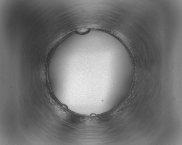 X0000073950345200609111656