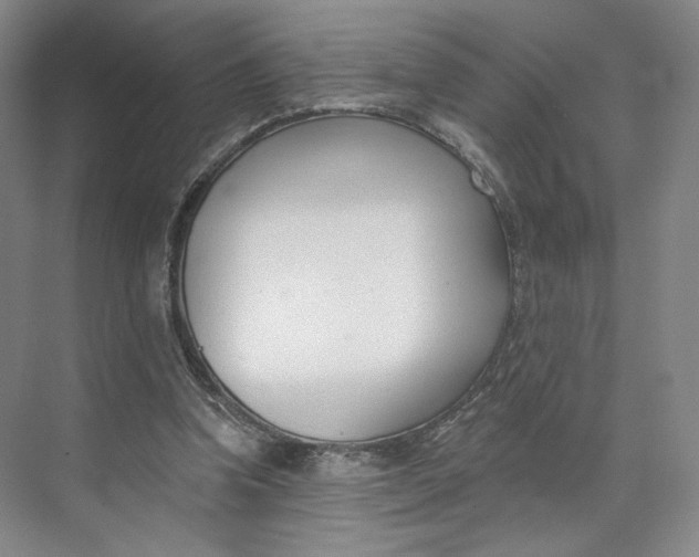 X0000073950346200609111656