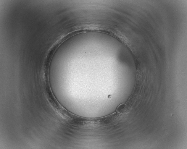 X0000073950347200609111656