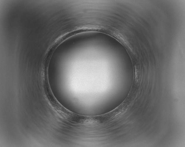 X0000073950348200609111656