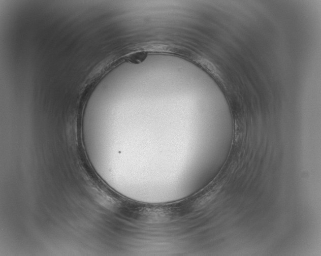 X0000073950349200609111656