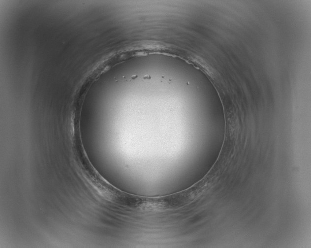 X0000073950350200609111656