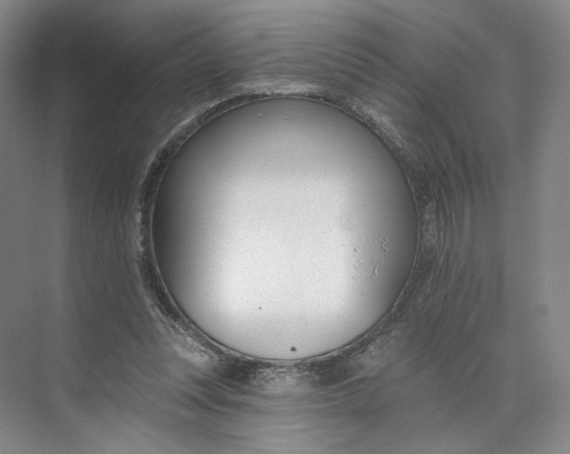 X0000073950351200609111656