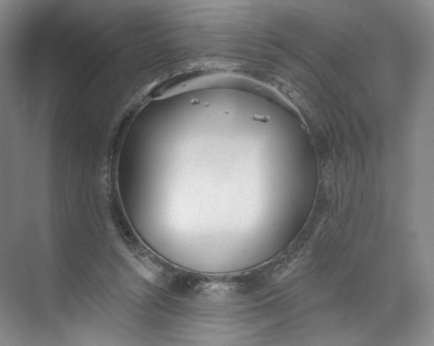 X0000073950352200609111656