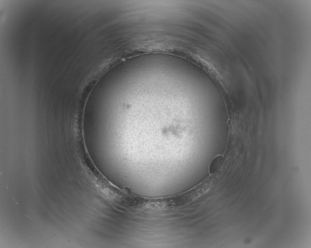 X0000073950353200609111656