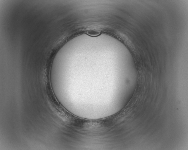 X0000073950354200609111656