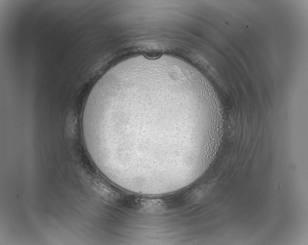 X0000073950355200609111656