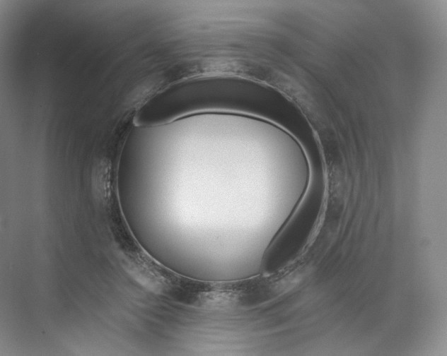 X0000073950356200609111656