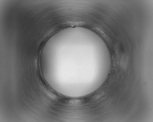 X0000073950357200609111656