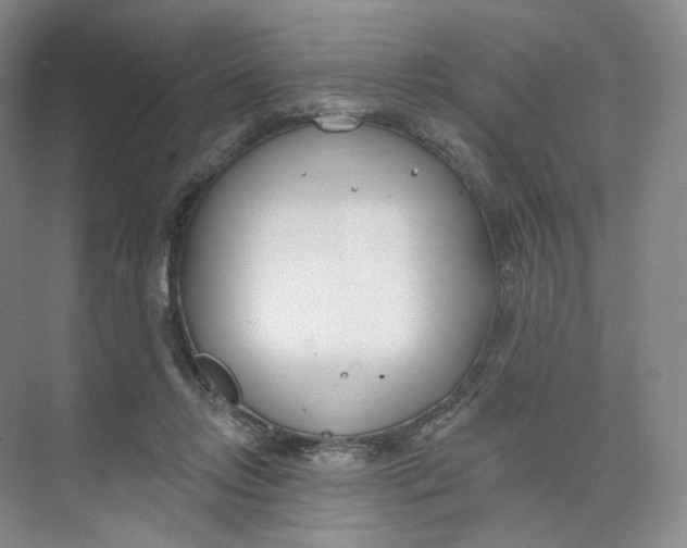 X0000073950358200609111656