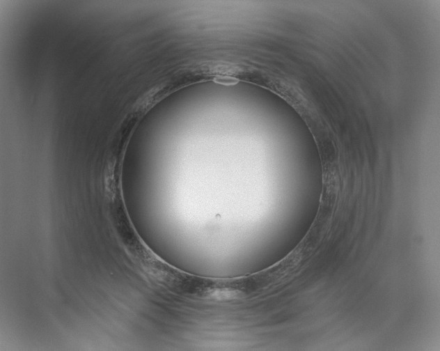 X0000073950360200609111656